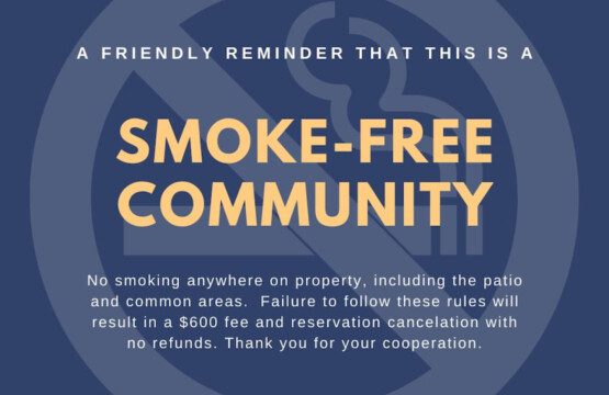 187633 495648 tlaWuYGcZeorg FgEJ NNN0D7i6zqPPFpatFORxHeI 69b06f1505c08.jpg